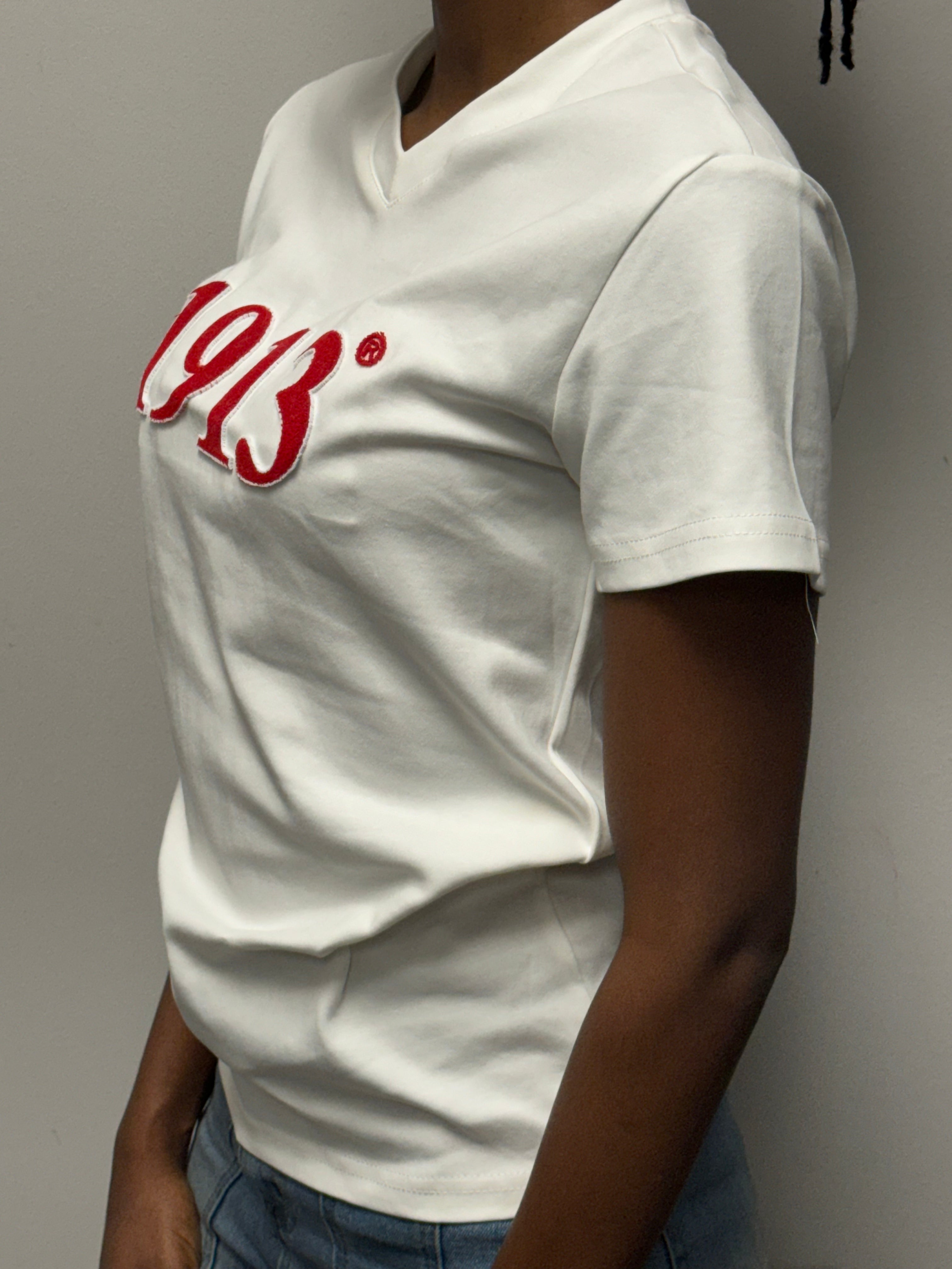 Delta Sigma Theta -1913 Embroidered (Soft Touch/Red) Da Greek Spot Original Collection