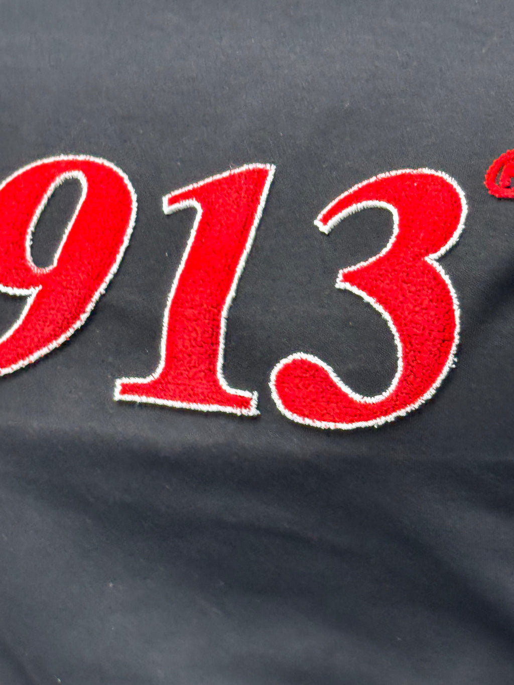 Delta Sigma Theta -1913 Embroidered (Soft Touch/Black) Da Greek Spot Original Collection