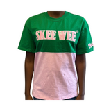 Alpha Kappa Alpha {Skee-Wee - Chenille/ Color Block ,Pink) Dagreekspot Original Collection