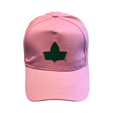 Alpha Kappa Alpha (Ivy Cap/Pink) Dagreekspot Original Collection